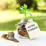 Micro Loan
