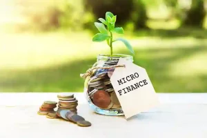 Micro Loan
