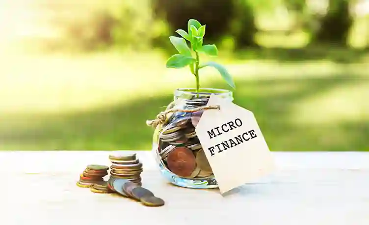 Micro Loan